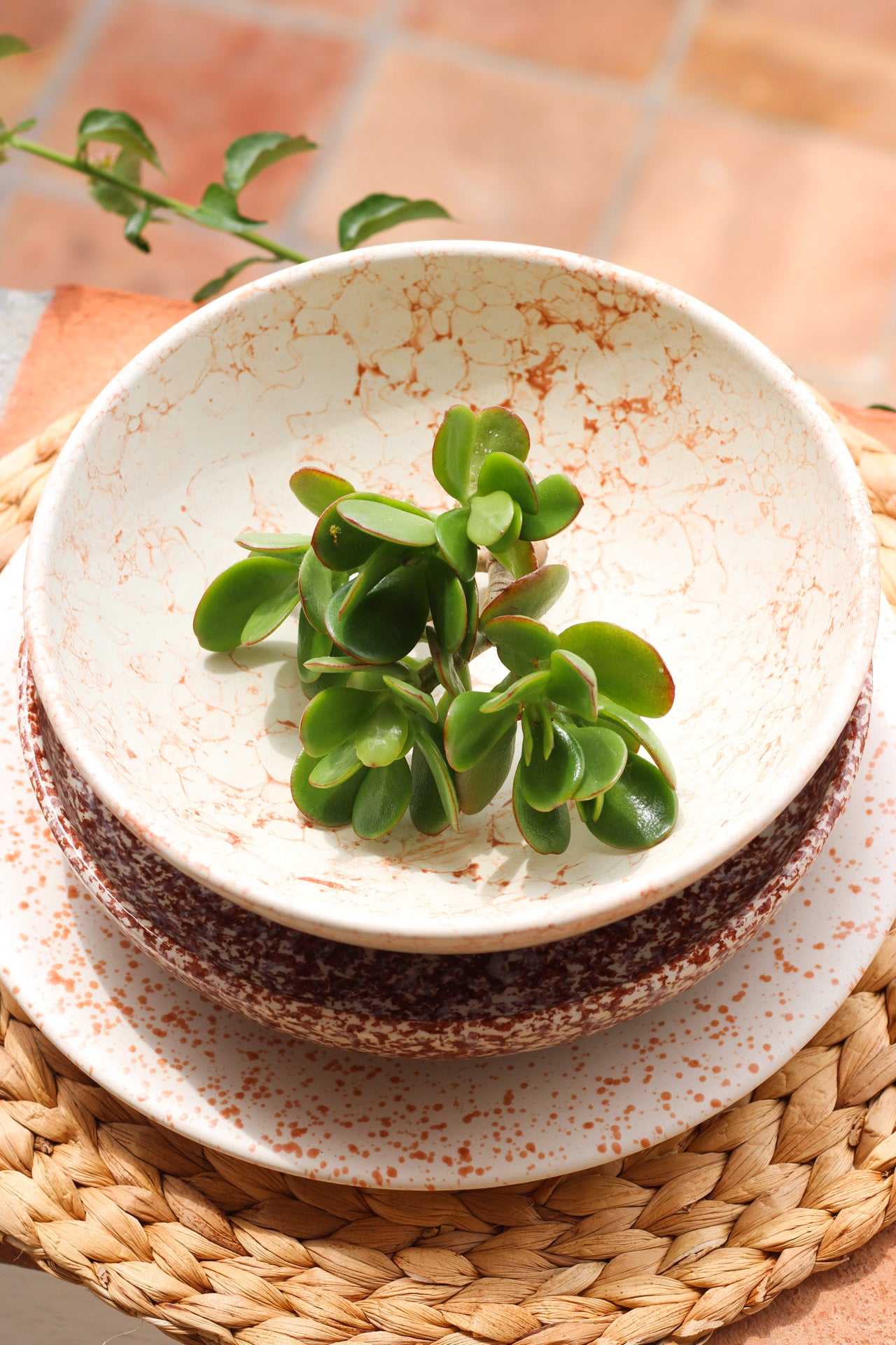Granite Shallow Pasta Plate