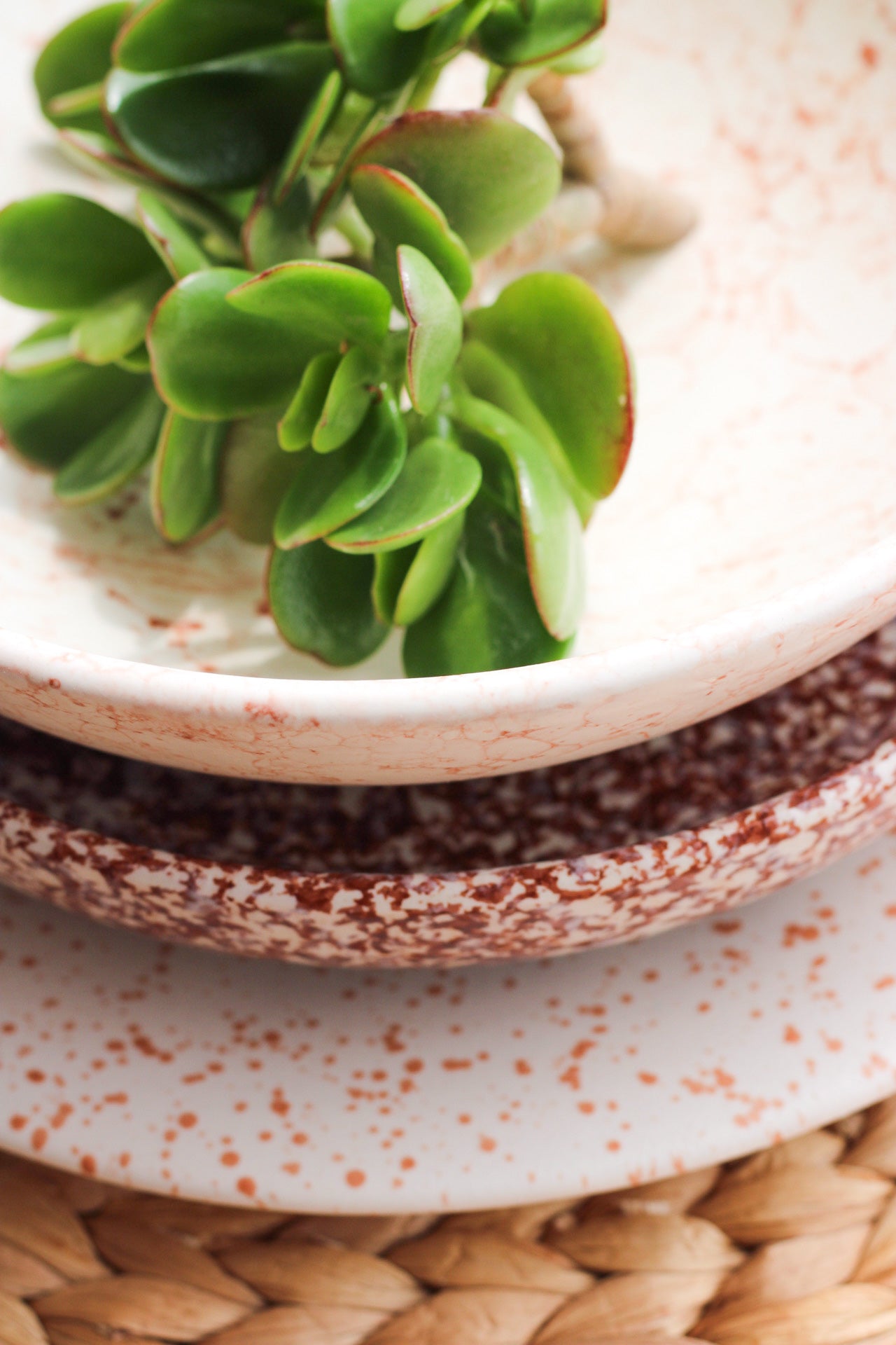 Granite Shallow Pasta Plate