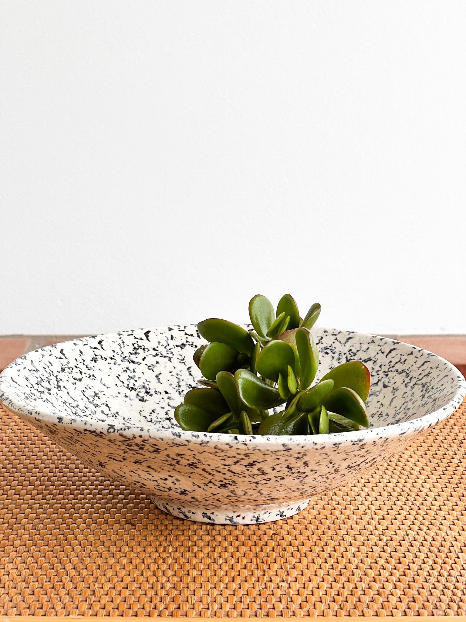 Granite Pasta Plate