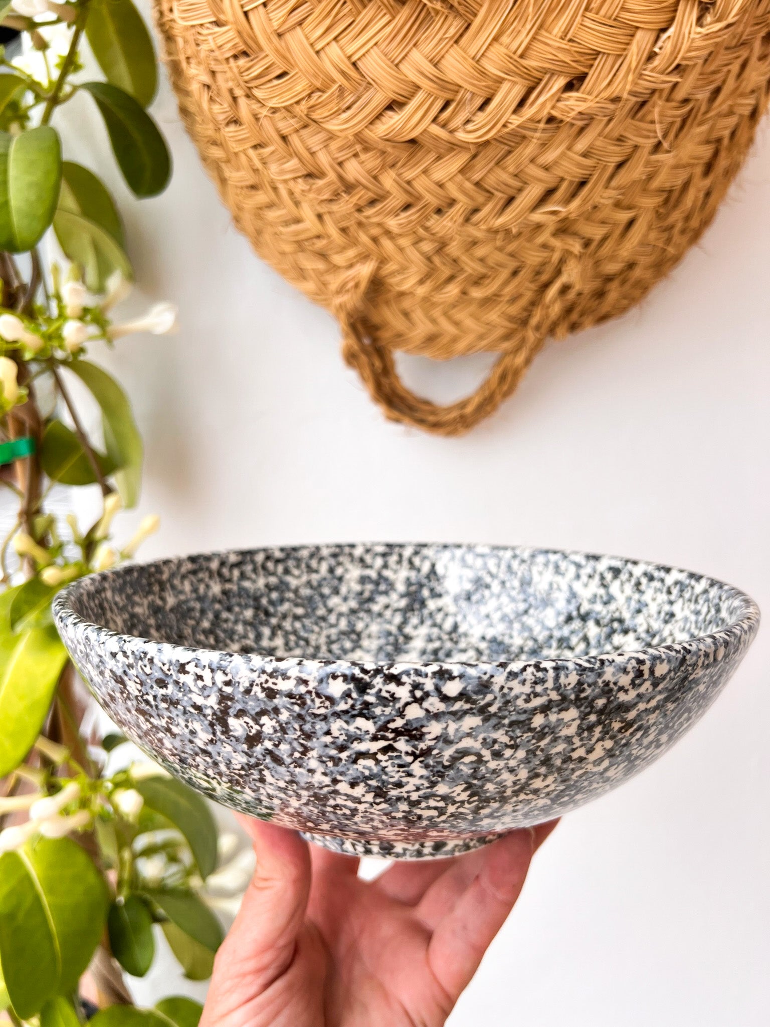 Granite Pasta Plate